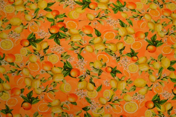 jersey digitalprint, citrus frugter med blade