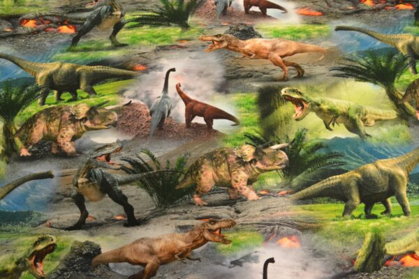 bomulds jersey digitalprint med dinosaurer